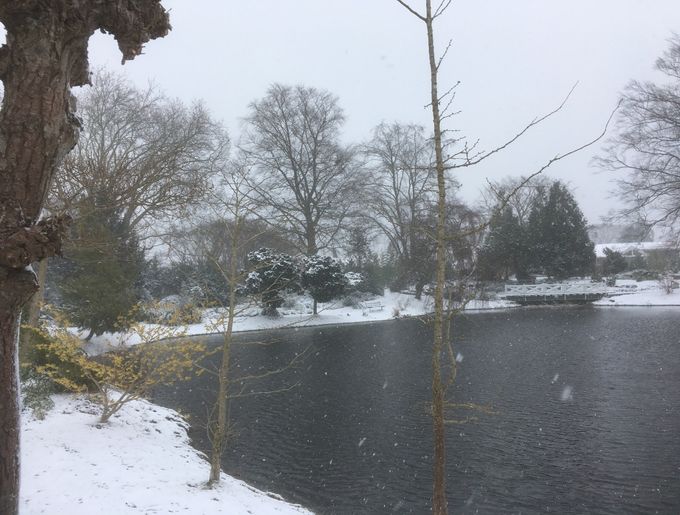 Vintervejr meldte (pludselig) sin ankomst den 28. marts 2018. Fotoet er fra Botanisk Have v/ Dybe Sø.